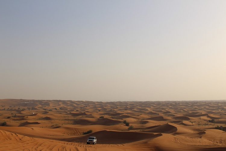 Dubai Desert Safari