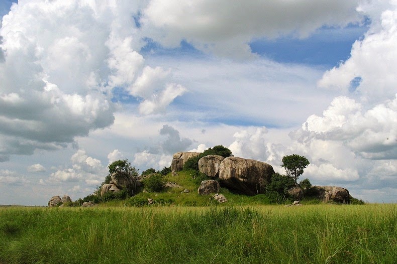 The rock is standing impressively around plains of savannah with vegetation surrounded by bushes and grass.