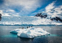 Antarctica May Have Hit Highest Temperature on Record Antarctica