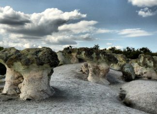The Natural Phenomenon Stone Mushrooms of Beli Plast