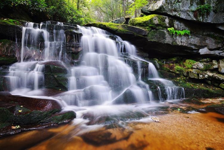 Elakala Falls Virginia4 Elakala Falls