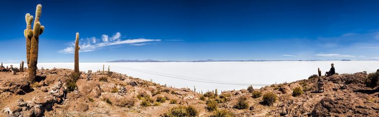 Isla Incahuasi is a beautiful hilly and rocky outcrop of land and Former Island in Bolivia. 