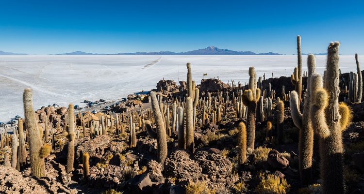 It is situated in the middle of Salar de Uyuni, the world's largest salt flat. Isla Incahuasi elevation is 3,656 meters. 