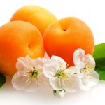 Apricots are a solid dietary source of catechins, a broad family of flavonoid phytonutrients.