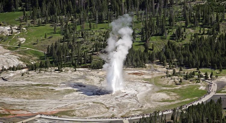 This was the first geyser to name in the park in 1870. Old Faithful is a very predictable geothermal geyser, as it erupted every 44 to 125 minutes. 