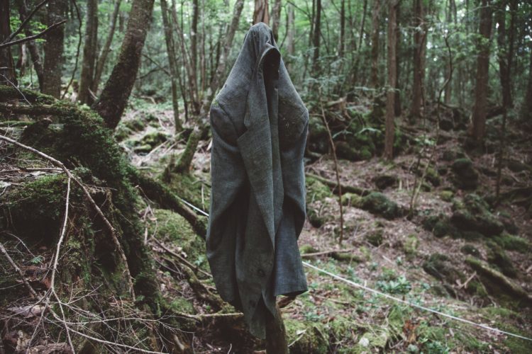 5 1 Aokigahara Forest