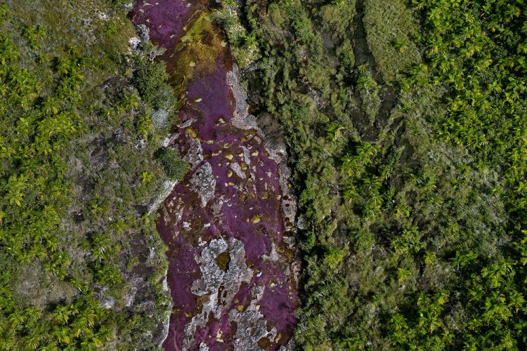 Cano Cristales a small river Cano Cristales