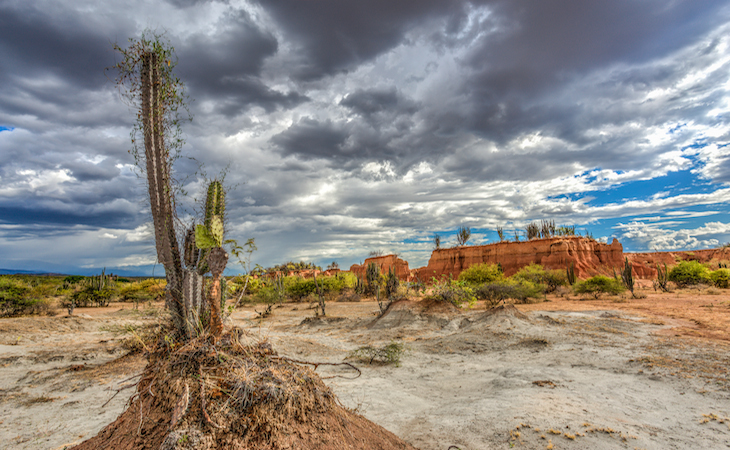 The desert is located north of Huila Department, 38 KM from City of Neiva and 15 KM from Natagaima in Tolima. 