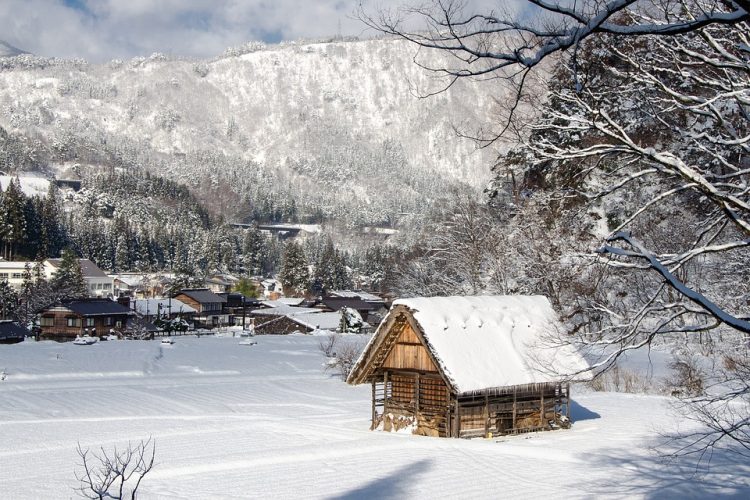 Shirakawago has a humid climate, features four distinct seasons with winter is being most recognized. Shirakawa village is one of the snowiest places in Japan