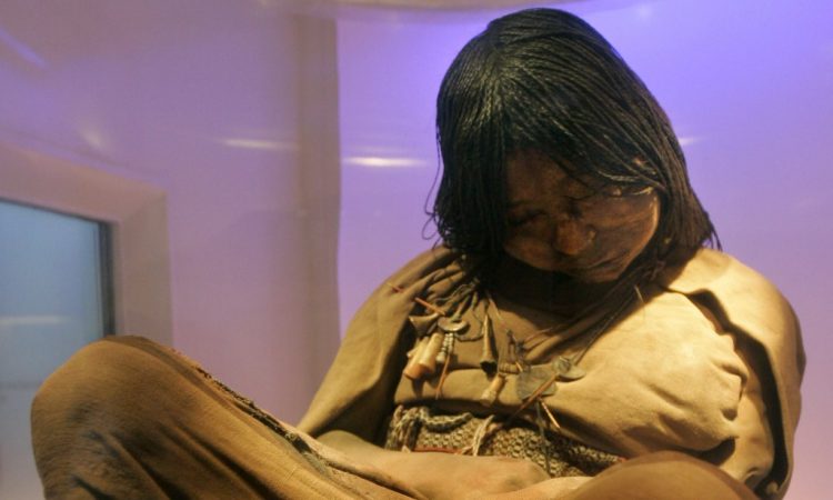 The mummy "La Doncella" or "The Maiden" sits on display at the High Mountain Archeological Museum (MAAM) in Salta, Argentina, Thursday, Sept. 6, 2007. "The Maiden," who is on display for the first time since her discovery in 1999, was approximately 15-years-old when she and her two children died as human sacrifices to Gods by the Incas more than 500 years ago on the top of the Llullaillaco volcano. (AP Photo/Natacha Pisarenko)