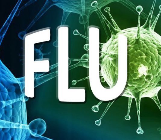 Why You Need Protection Against The Flu For Protection against the Flue Most of the vaccine industry insists that their vaccines against the flu help as the key to a healthy winter.