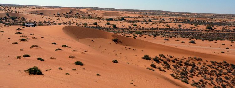 The sand dunes, stretching west to the Namib Desert, is the largest continuous expanse of sand on earth.