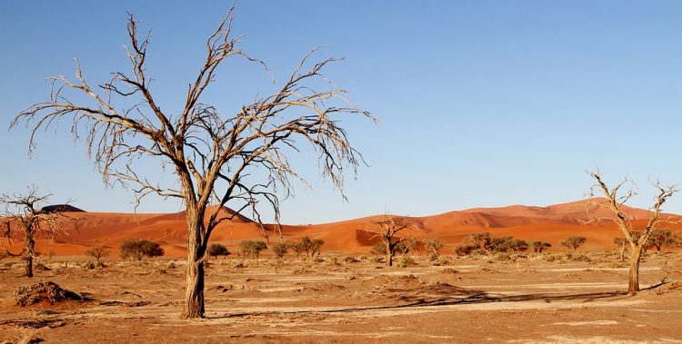 The Kalahari Desert is something very attractive name to inspire you most. Probably we don’t know why. The desert name instills a sense of dismay while at the same time.