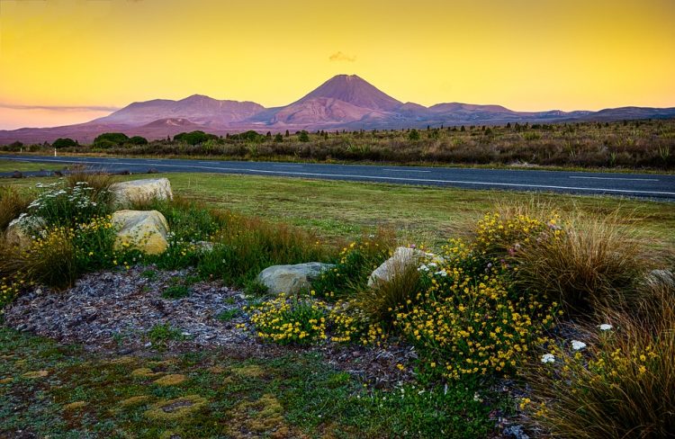 Tongariro is part of the Tongariro volcanic center, which consists of at least 12 cones. Ngauruhoe, while often regarded as a separate mountain, is geologically a cone of Tongariro.