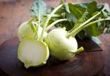 Kohlrabi – Where and When to Grow Kohlrabi is a hardy biennial grown as an annual and is a member of the cabbage clan. It has a swollen stem that takes it look like a turnip growing on a cabbage root.