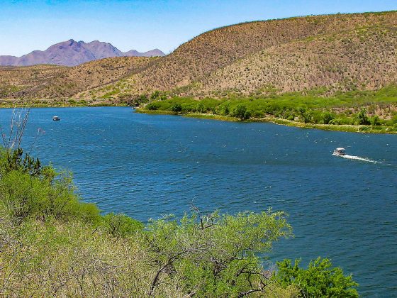 Escape to Patagonia Lake State Park: Arizona's Hidden Gem