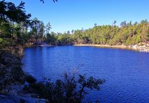 Rose Canyon Lake Tucson, Arizona Rose Canyon Lake is small ecologically fragile reservoir, but it is famous for trout fishing lake.