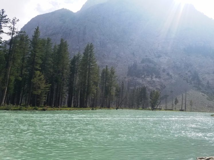 Mahodand lake banks are beautifully covered by high rise pines and pastures that serve as a camping site during the summer.