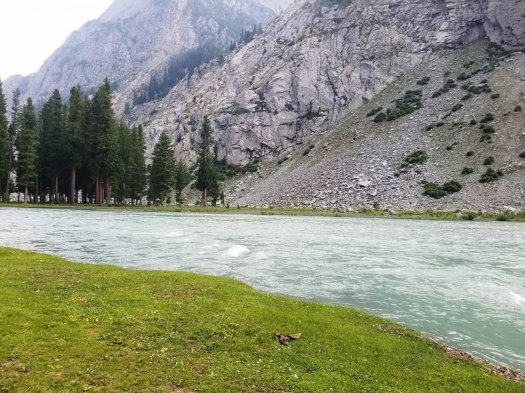 The visitors feast their eyes with lush green sceneries, meadows, clumps of alpine and cedar trees and snow capped mountains. (Photo Credit: Tauheed Ahmad Nawaz)