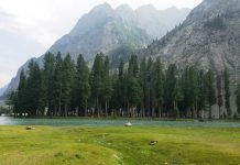 Saifullah Lake – A Gem lies on the Foothills of Hindu Kush Mountains The best time to go there is in June and July, when alpine flowers like geum, blue poppy, potentilla, and gentian blooms all part of the wild area. (Photo Credit: Tauheed Ahmad Nawaz)