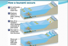 How Tsunami Occurs? How Tsunami Occurs? The tsunami is a series of ocean waves, carry water to the big heights of over 100 feet about 30.5 meters, to the earth.