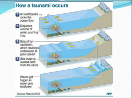 How Tsunami Occurs? The tsunami is a series of ocean waves, carry water to the big heights of over 100 feet about 30.5 meters, to the earth.