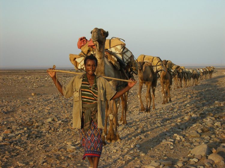 The desert is inhabited by few peoples that is called Afar.