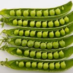 How to grow Peas? these are hardy weak-stemmed, climbing annuals that have leaf like stipules, leaves and tendrils that they use for climbing
