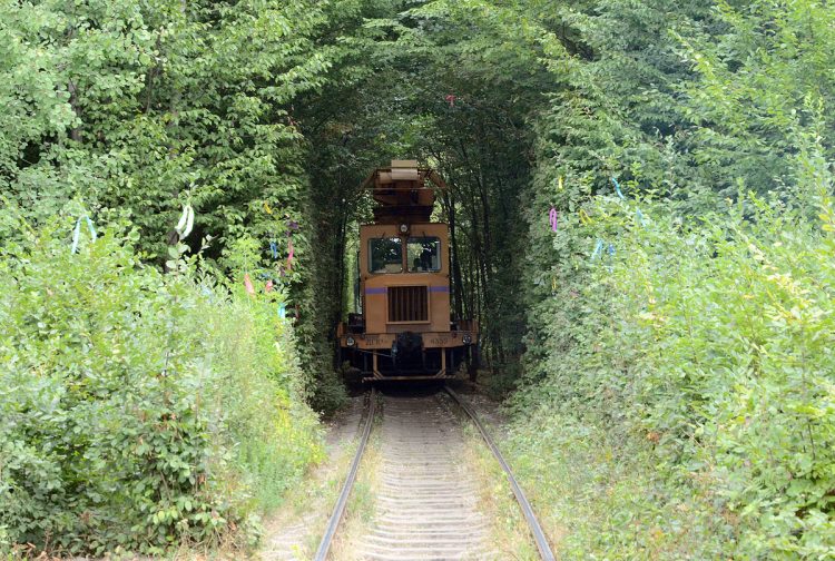 The Tunnel of Love Ukraine runs a 3 to 5 km section of industrial railway located near Klevan, which is linking it with village Orzhiv. 