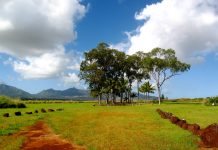 The Ancient Kukaniloko Birthing Stones The sacred Kukaniloko Birthing Stones is also called Kukaniloko Birthstones State Monument.