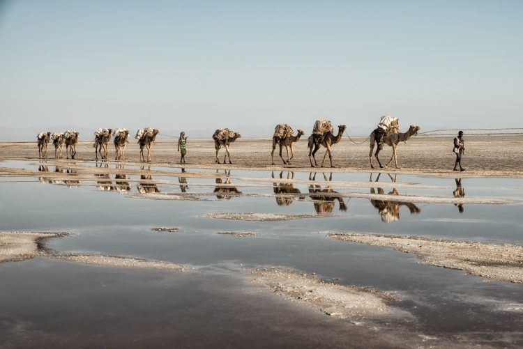 Keep in mind all these factors, Danakil Desert is one of the most inhospitable environments in the world. 