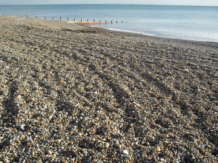 Shingle Beach is unique as referred to pebble beach or rocky beach. This beach is armoured with beautiful pebbles and medium sized cobbles.