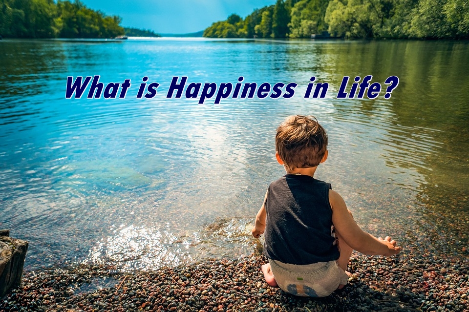 what is happiness in life? Many people believe greatest happiness they could achieve would be freedom and ability to do what they want to do.
