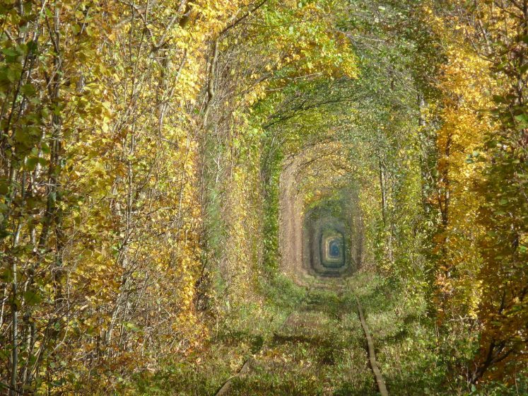 However, tunnel of love stretches anywhere from 3 to 4.9 km, depending on how individuals count it. The gloomy atmosphere offers a degree of privacy and scariness. It is an ideal spot for selfies, wedding photos, for FB and Instagram depends on your perspective.