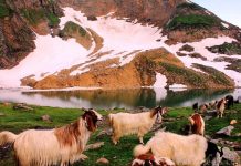 Hansraj Lake: Magical Natural Lake Will Feast Your Eyes