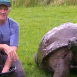 Meet the Jonathan the world's oldest living Tortoise is starting over with a clean sheet at 184 years old and enjoy his first ever bath.