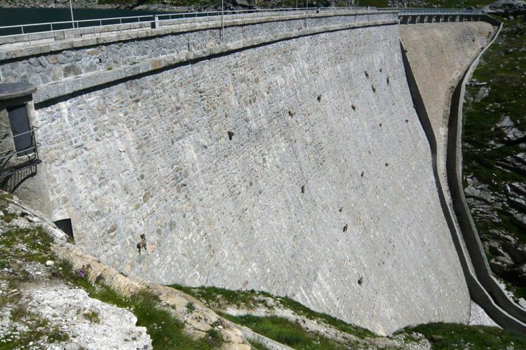 alpine ibex climbing dams 2