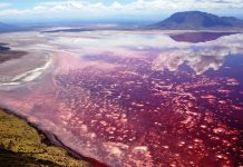Lake Natron – Soda and Salt Lake in Tanzania The Lake Natron is a salt and soda lake in the Arusha Region of Northern Tanzania, close to Kenyan Border in Gregory Rift.