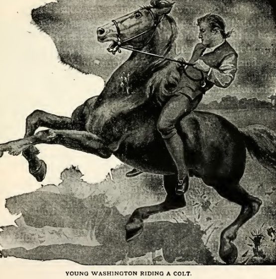 George Washington Riding the Colt