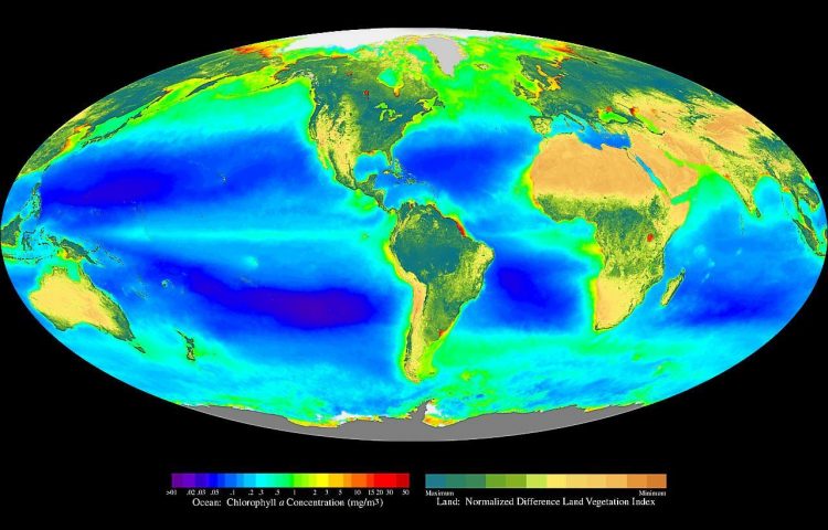 essential-components-of-ecosystem-management-charismatic-planet