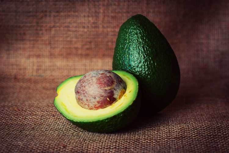 Avocado (Persea americana) has been referred to as the most nutritious of all fruits. It has gained worldwide recognition and significant volume in international trade.