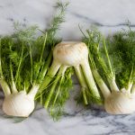 Fennel has history as old as the Mediterranean basin where it originated. The ancient Egyptians, Greeks & Romans all ate its aromatic fruits.