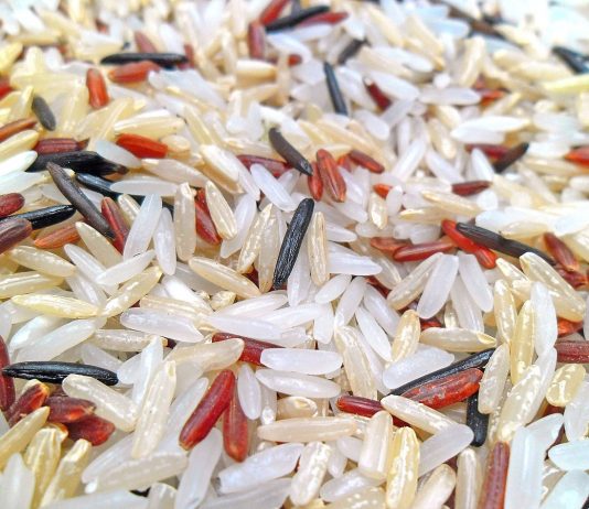 Nutritional Profile of Rice (Wild rice) All rice is a high-carbohydrate food, rich in starch, with moderate amounts of dietary fiber. Brown rice, which has the bran (outer seed covering), is high in fiber.