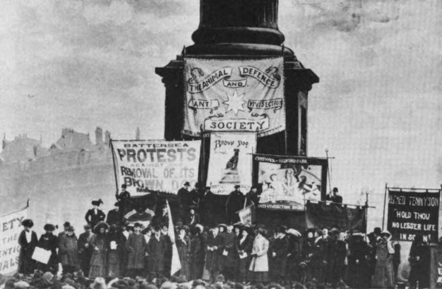 Anti-vivisection demonstration in Trafalgar Square, London, to protest the removal from Battersea Park of the Brown Dog statue