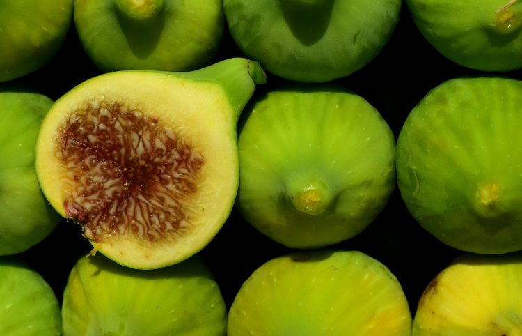 Health Benefits of Eating Fig have been a prized delicacy for at least 5,000 years. They were grown in famous Hanging Gardens of Babylon.