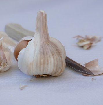 Garlic – Food and Medicine Garlic is supported both an ancient history and a wealth of modern research. Scientific cover its chemistry, pharmacology, and clinical uses.