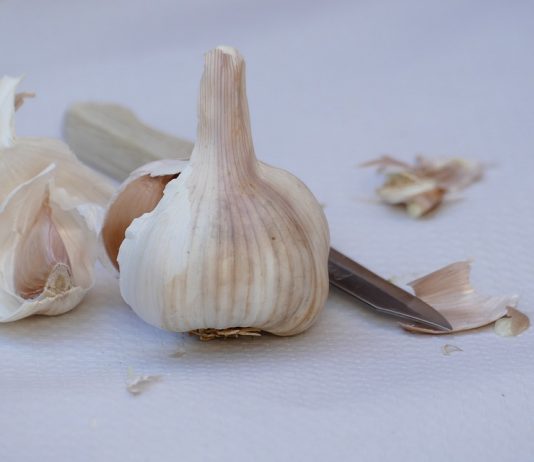 Garlic – Food and Medicine Garlic is supported both an ancient history and a wealth of modern research. Scientific cover its chemistry, pharmacology, and clinical uses.