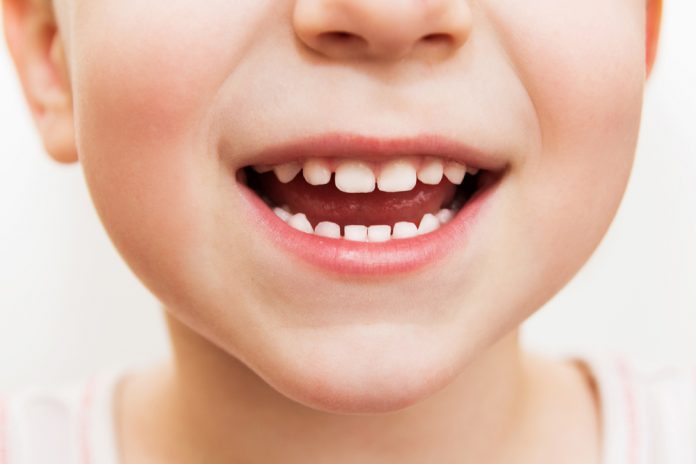 How Do Our Teeth Grow? Healthy teeth are most prominent part of your personality. That helps us to smile at any place, take bite, can speak, or even have your favorite food without any problem.