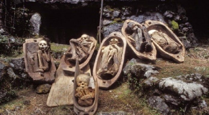 Kabayan Mummies are famous as, Ibaloi Mummies, Benguet Mummies, Fire Mummies can find at Kabayan town in the northern part of the Philippines.