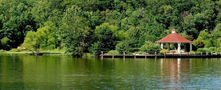 The guided boats and rental boats are available to have a boat riding in Lake Lure. 